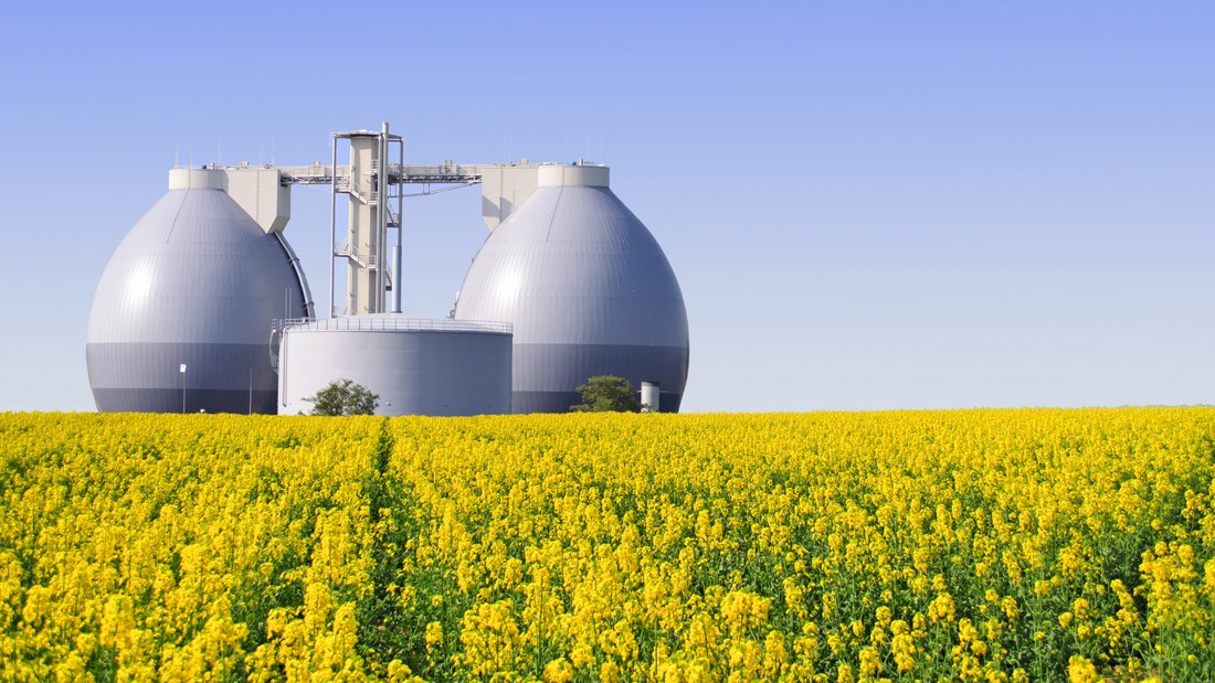 Biogáz előállítás: trágya háromszoros haszonnal